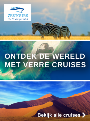 Verre reizen