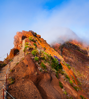 Madeira